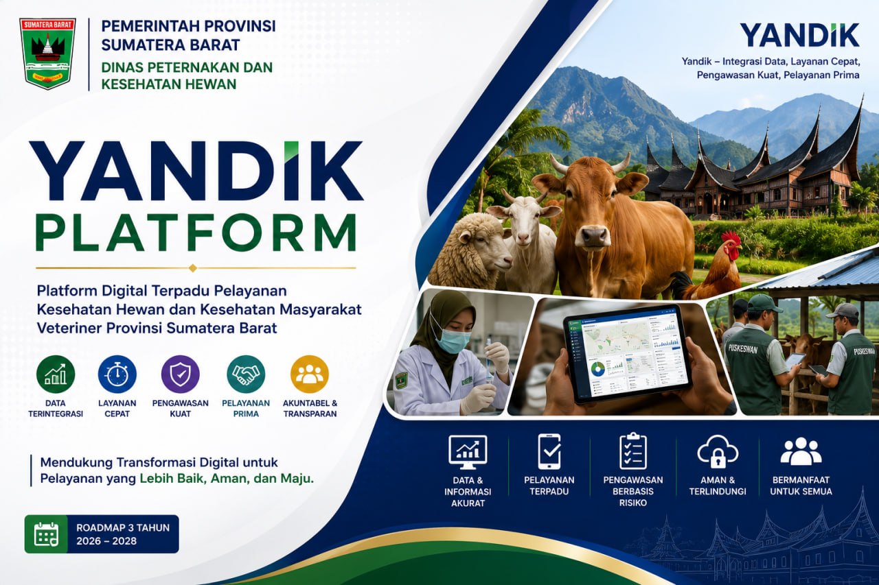 YANDIK Platform